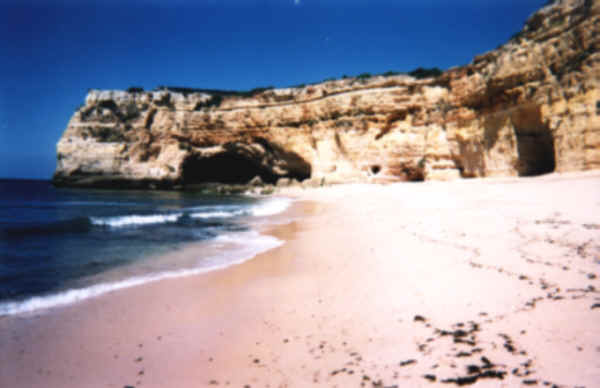 cove1.jpg (21753 bytes)